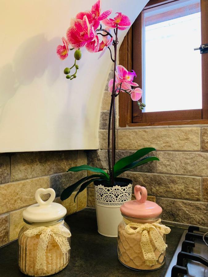 אוסטוני Sabrina'S Sweet Home מראה חיצוני תמונה